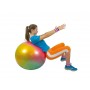Мяч гимнастический Gymnic Arte с BRQ 55 см