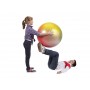 Мяч гимнастический Gymnic Arte с BRQ 65 см