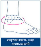 Таблица размеров бандажа голеностопа Orto