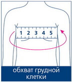 Таблица размеров бандажа на плечевой сустав Orto