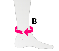 Как подобрать размер голеностопа Меди