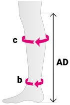 размер банжажа РНК меди