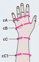 Инструкция по подбору размера компрессионных перчаток mediven esprit