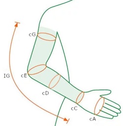 размер рукава Valento